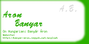 aron banyar business card